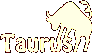 Moog Taurus